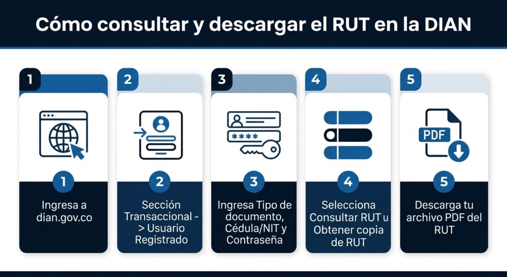 Infografía paso a paso para consultar y descargar el RUT en la DIAN